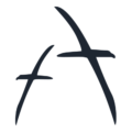 a-albatross-nk a-albatross-nk